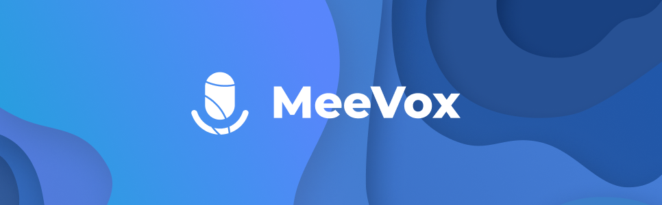 MeeVox. A corporate videoconferencing tool